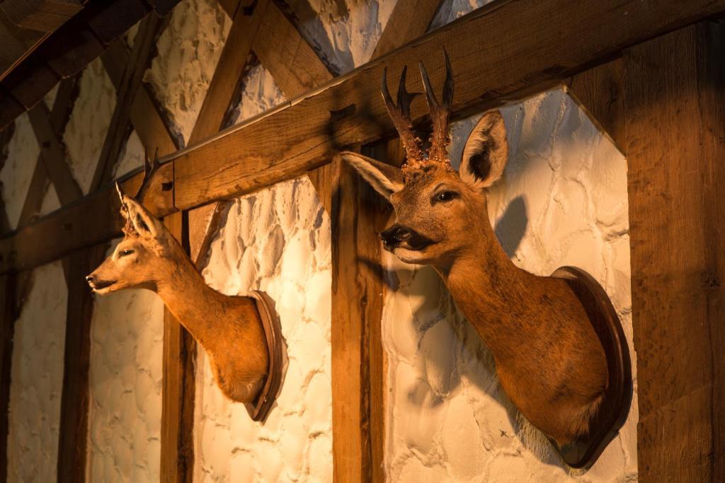 Hotel Am Fang バート・ラースフェ エクステリア 写真
